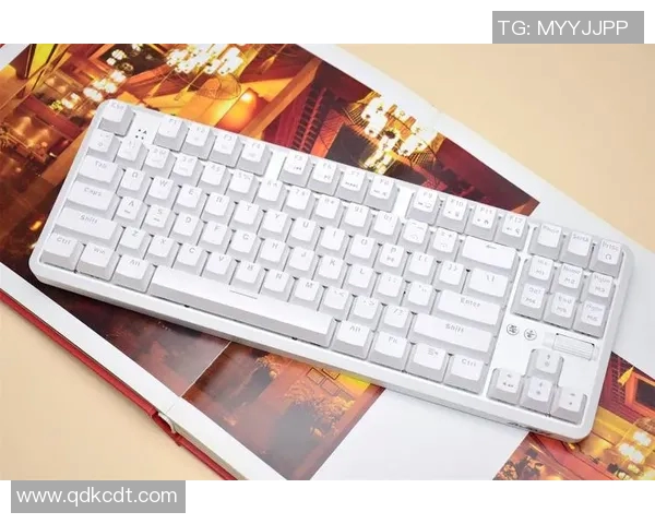 DOTA2装备选购指南：推荐适合游戏的机械键盘品牌与型号