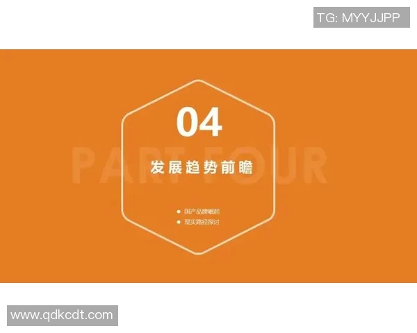 武汉网球队的崛起与发展分析聚焦其背后的力量与潜力探讨 武汉网球队的崛起与发展分析聚焦其背后的力量与潜力探讨