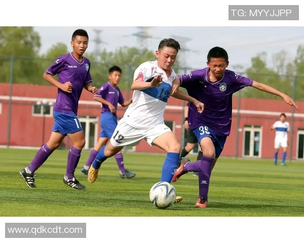 成都足球队荣登足球意识排行榜第三名引发热议