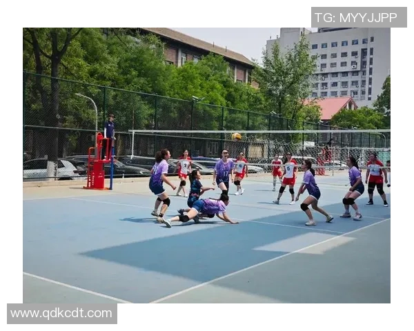 杨秀英独家分享排球心得与技巧助你提升竞技水平与团队合作能力 杨秀英独家分享排球心得与技巧助你提升竞技水平与团队合作能力