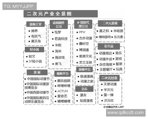 独家深度解析上海排球队各队实力对比与发展潜力分析