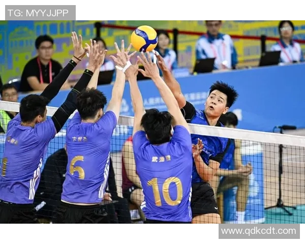 上海排球队的奋斗历程与荣耀时刻全景纪实