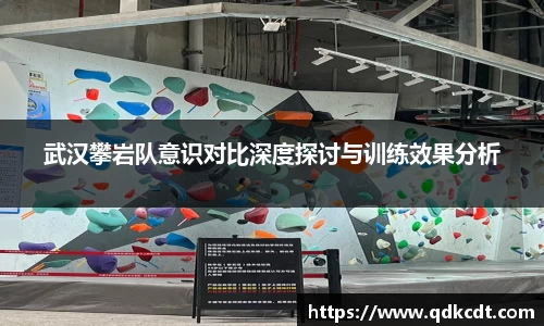 武汉攀岩队意识对比深度探讨与训练效果分析