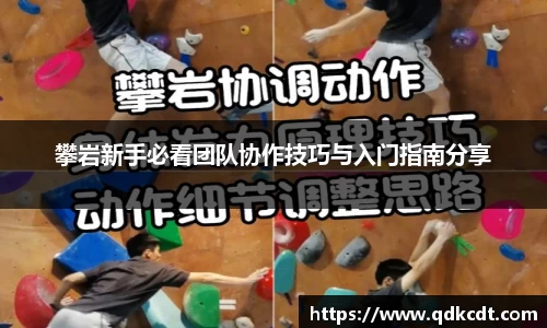 攀岩新手必看团队协作技巧与入门指南分享