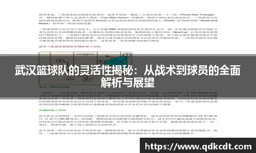 武汉篮球队的灵活性揭秘：从战术到球员的全面解析与展望